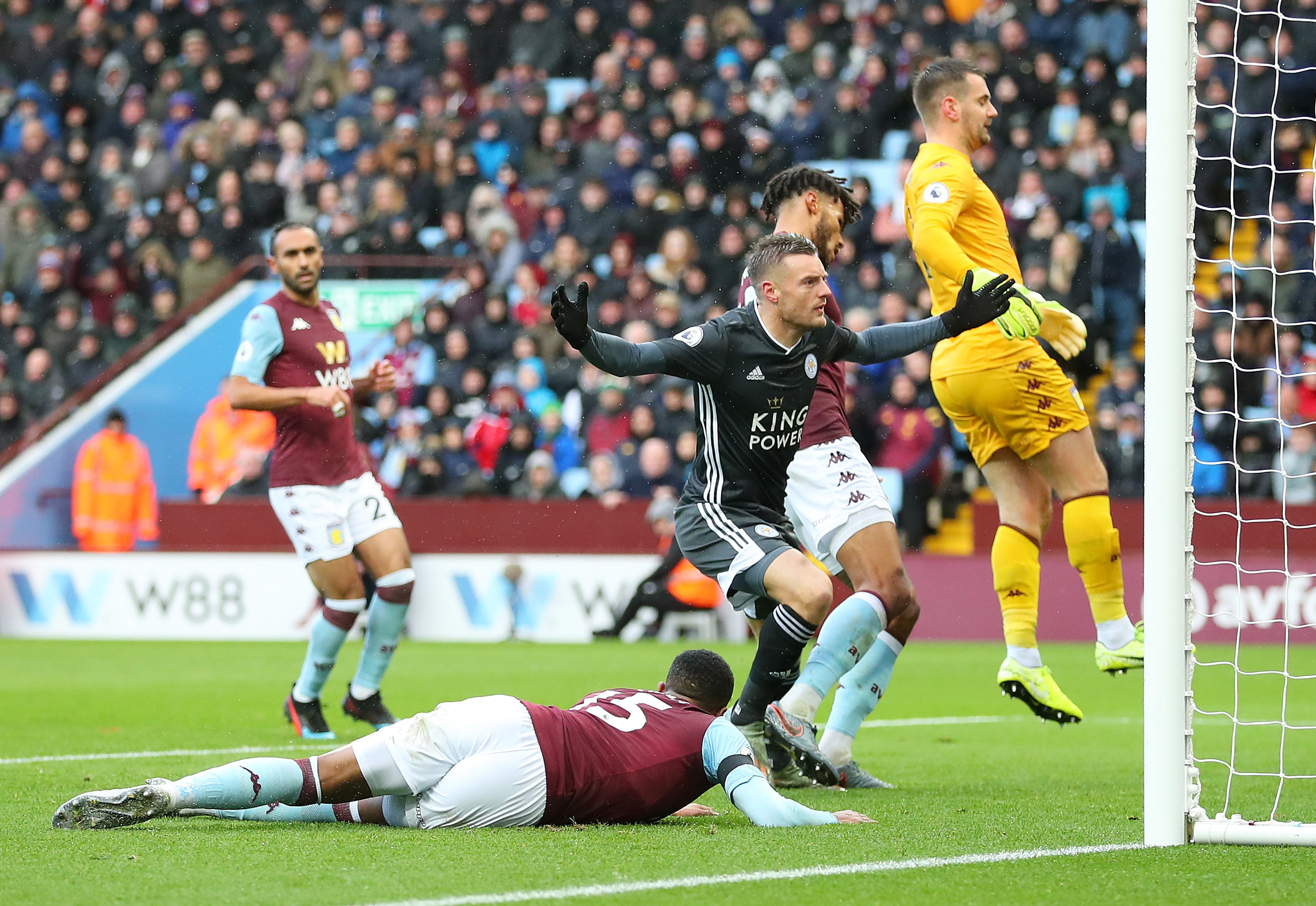 略落地生根 略落地生根