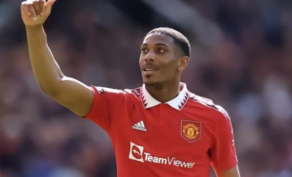 傷情無疑是 傷情無疑是